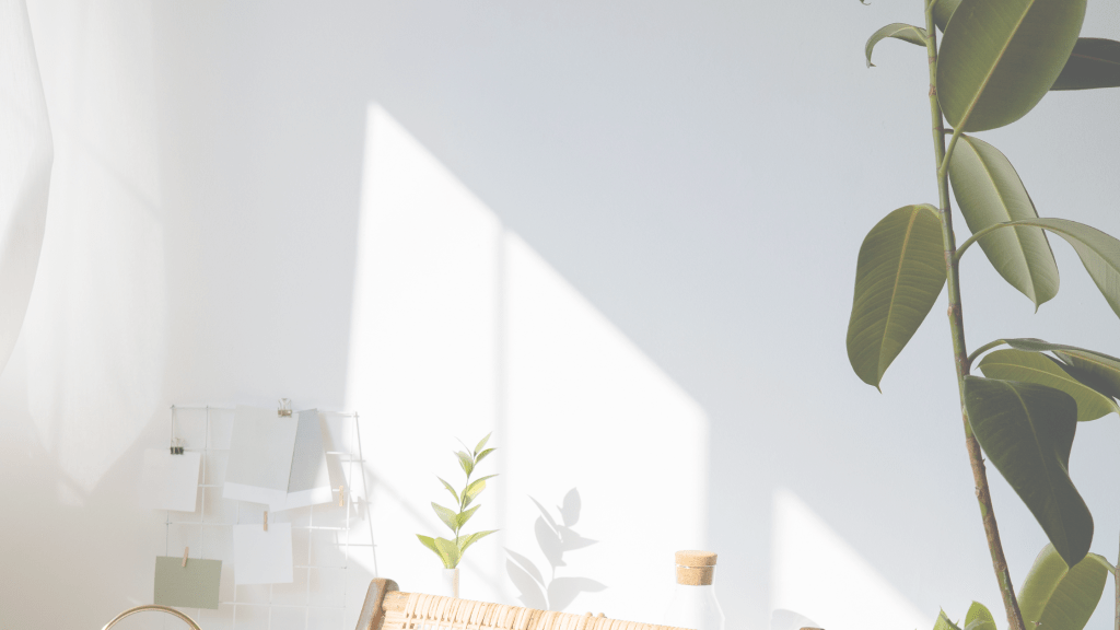 Aude C., biographe indépendante à Strasbourg, formée aux sciences sociales et à l’accompagnement des parcours de vie.