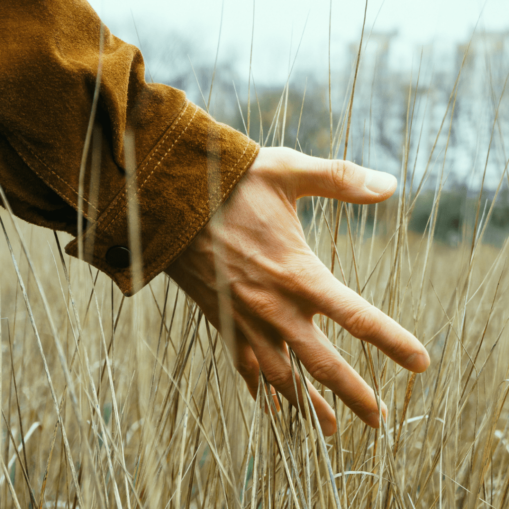 Valorisation et impact